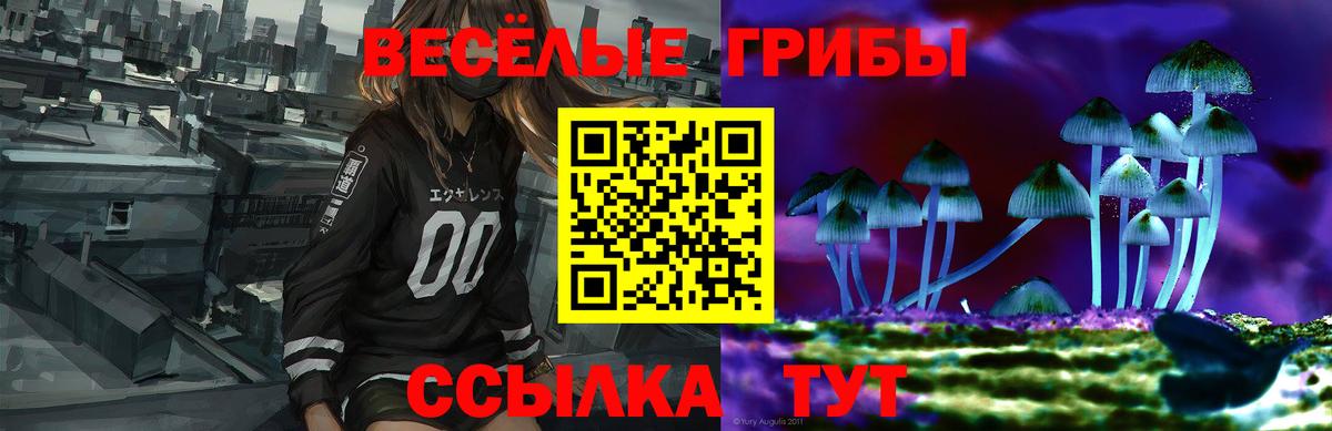 Печора  Галлюциногенные грибы GOLDEN TEACHER  Вход с VPN 