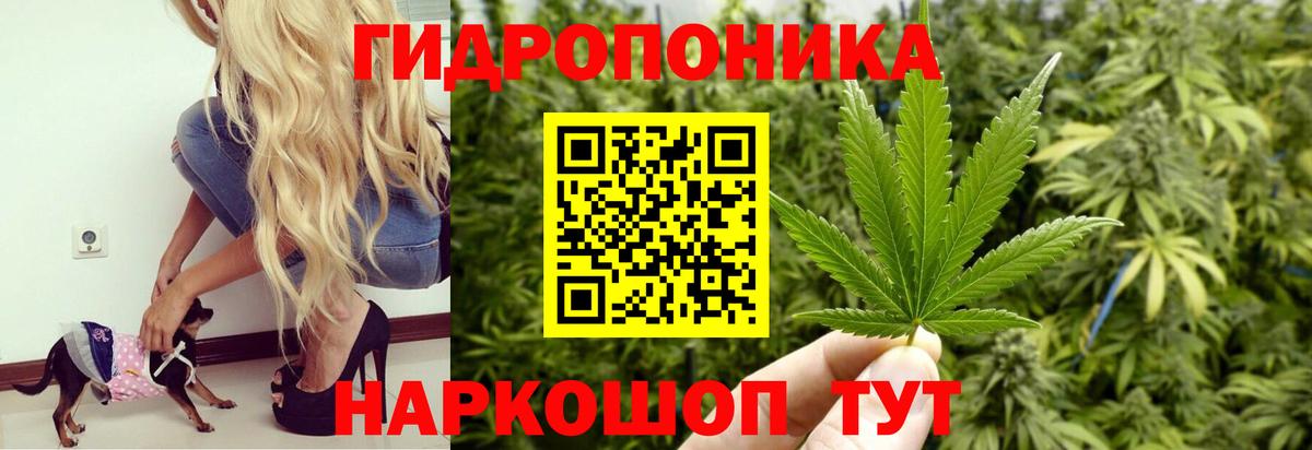 МАРИХУАНА  Вход с VPN  МЕТАДОН  NBOMe  Печора  ГАШ  МЕФ   COCAIN  Гашиш 
